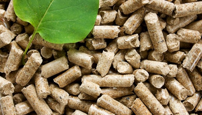 Wood pellets with a green leaf