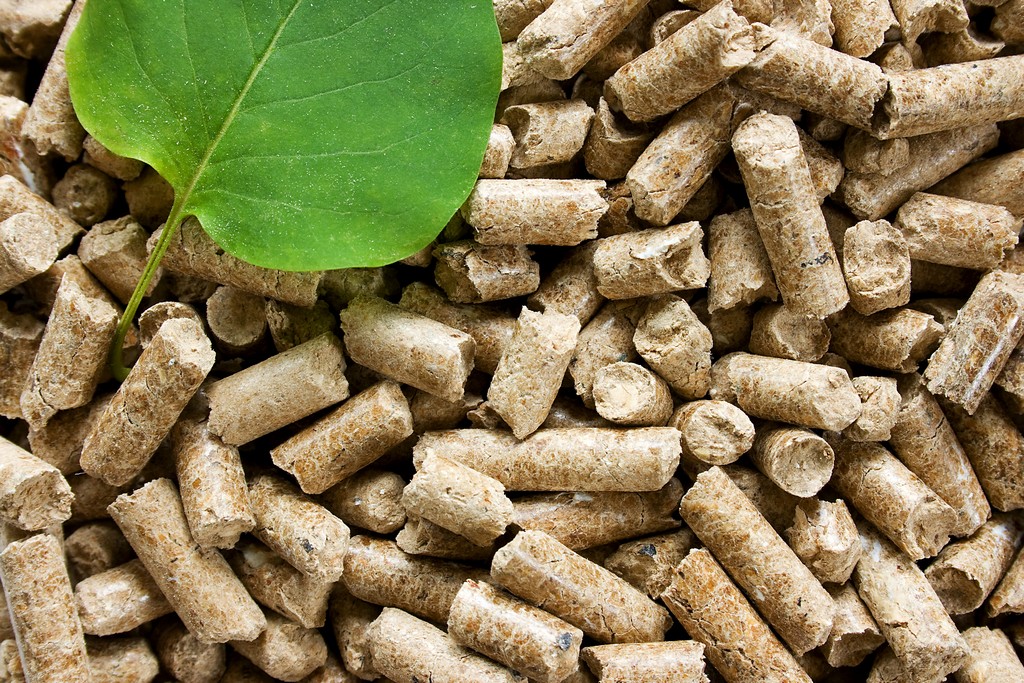 Wood pellets with a green leaf